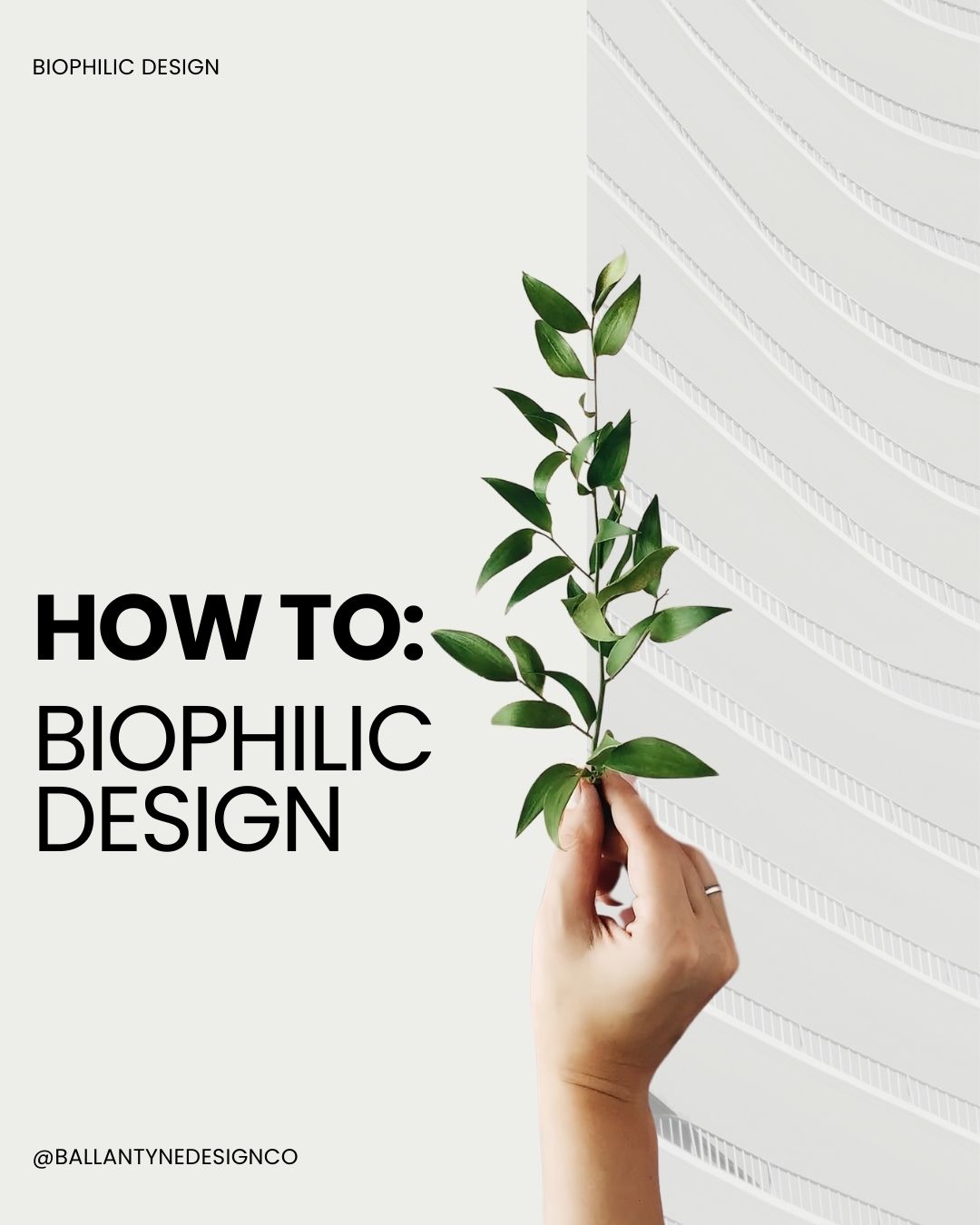 Biophilic Design: Embracing Nature for Sustainable and Healthy ...